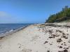 IMG_20210627_102843