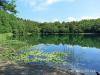 IMG_20210627_132610