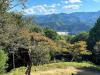 IMG-20231023-WA0019