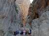 IMG-20220925-WA0005