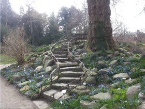 20140323_130839